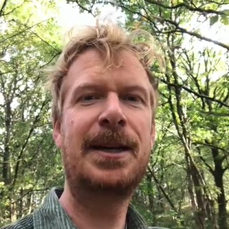 ‘Fotosyntese’ (Oktober)